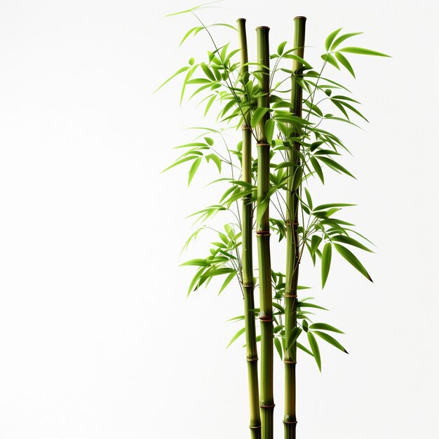 Bamboo árvore folha planta caule e bastão 3d árvore de bambu Ai Generative