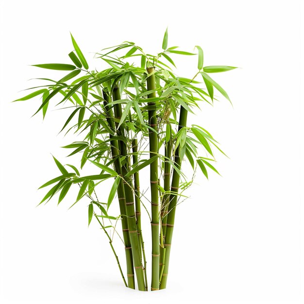 Bamboo árvore folha planta caule e bastão 3d árvore de bambu Ai Generative