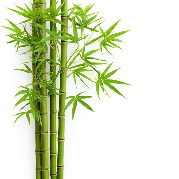 Bamboo árvore folha planta caule e bastão 3d árvore de bambu Ai Generative