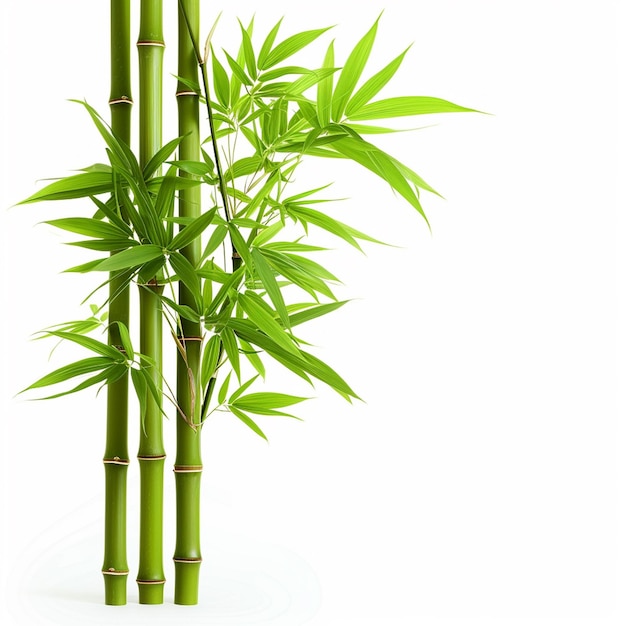 Bamboo árvore folha planta caule e bastão 3d árvore de bambu Ai Generative