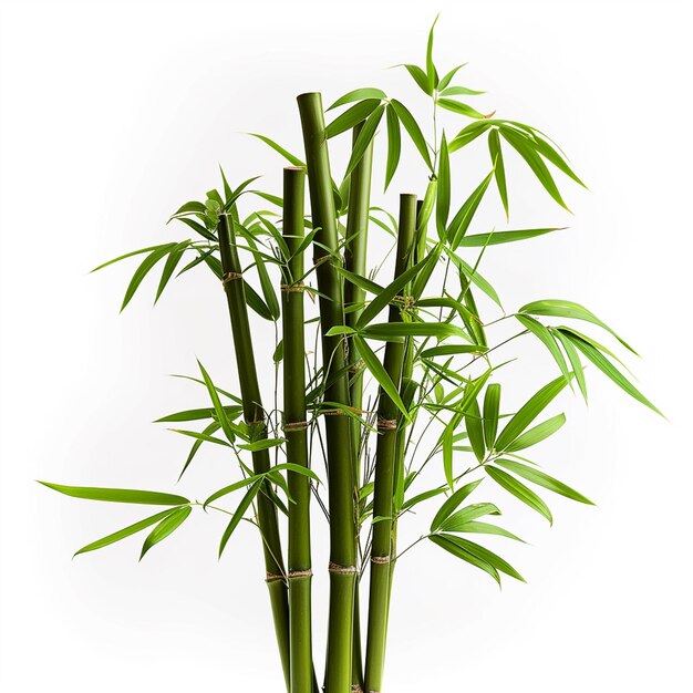 Bamboo árvore folha planta caule e bastão 3d árvore de bambu Ai Generative