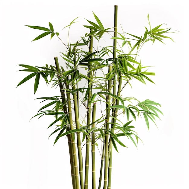 Bamboo árvore folha planta caule e bastão 3d árvore de bambu Ai Generative