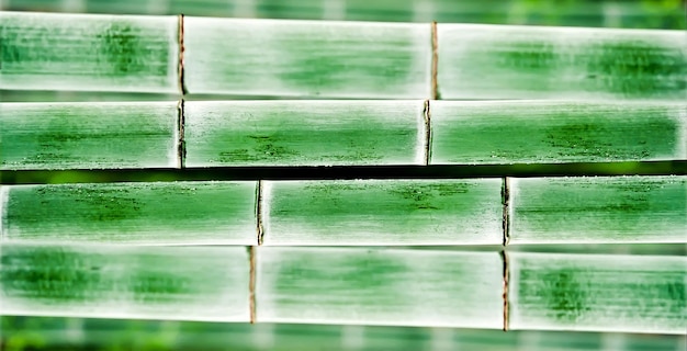 Bamboo Hintergrund