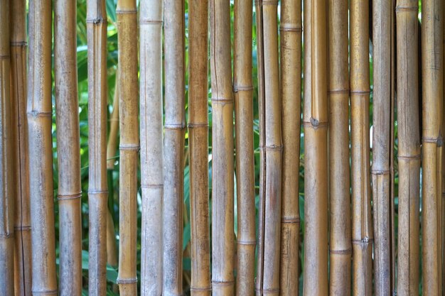 Bambooo Holzwand Hintergrund