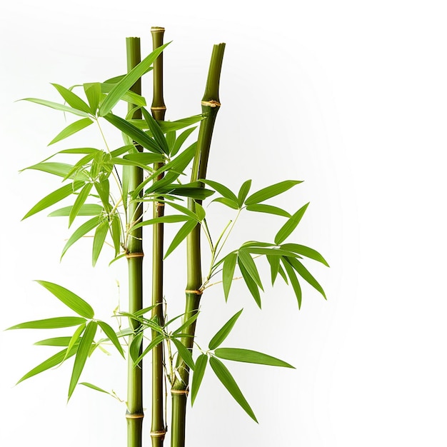 Bambú árbol hoja planta tallo y palo 3d árbol de bambú Ai generativo