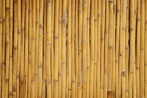 Bambus-Wandhaus