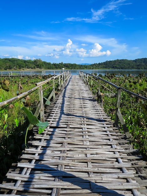 Bambusbrücke durch Lotossee mit Gebirgshintergrund und blauem Himmel