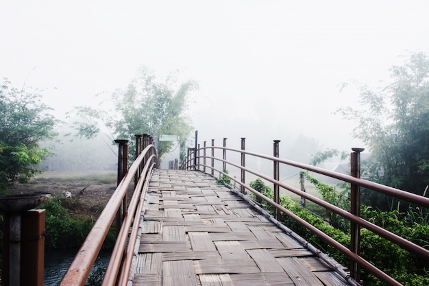 Bambusbrücke über Gemüsefeld unter Nebel an der Landschaft von Thailand