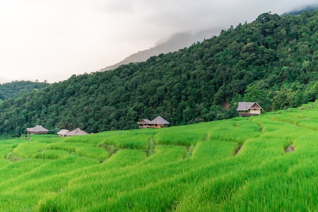 Foto ban pa bong piang reisterrasse