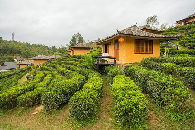 Ban Rak Thai, eine chinesische Siedlung in der Provinz Mae Hong Son, Nordthailand