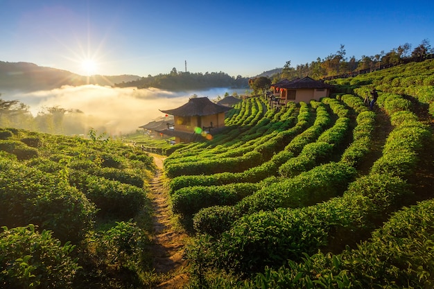 Ban Rak Thai, Mae Hong Son, Tailandia