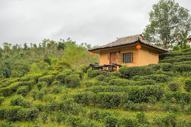 Ban Rak Thai, um assentamento chinês na província de Mae Hong Son, norte da Tailândia