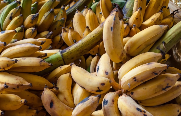 Banana cultivada madura