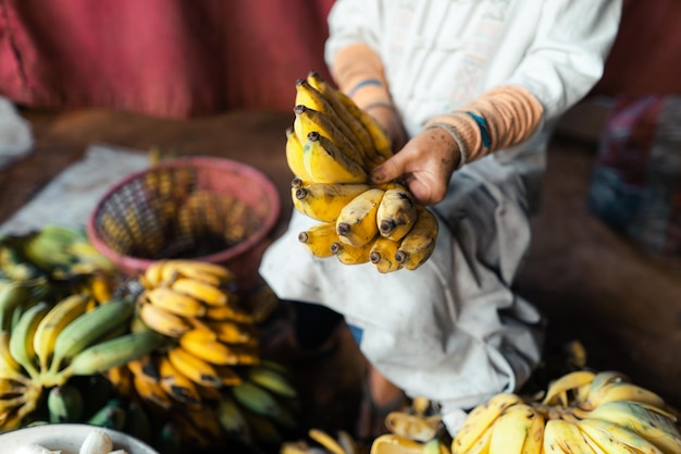 Banana cultivada para processamento de Banana na mão do vendedor