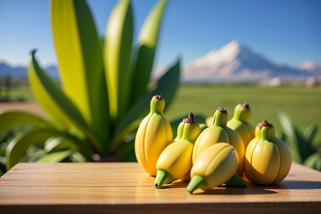 banana deliciosa fruta favorita comida verde comida orgânica papel de parede de banana fundo