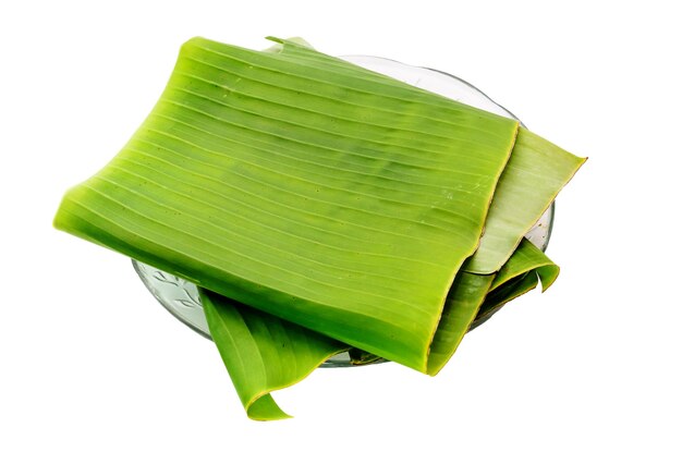 Foto banana leaf