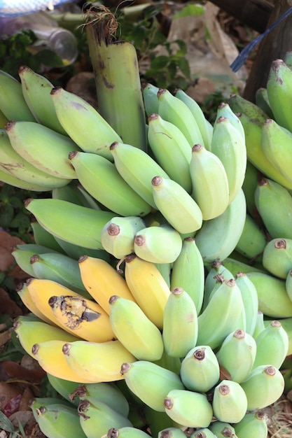 Banana na comida de rua