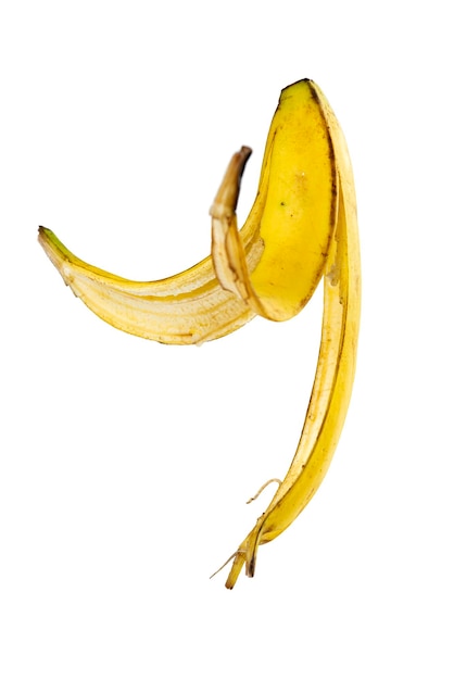 Banana Peel