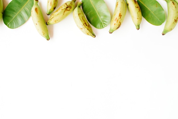 Bananas e folhas verdes
