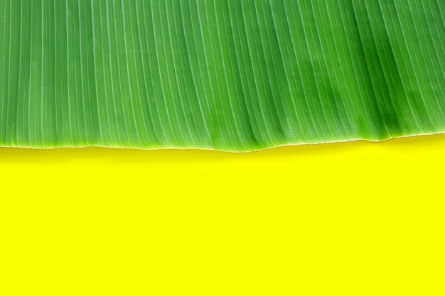 Bananenblatt auf gelbem Hintergrund.