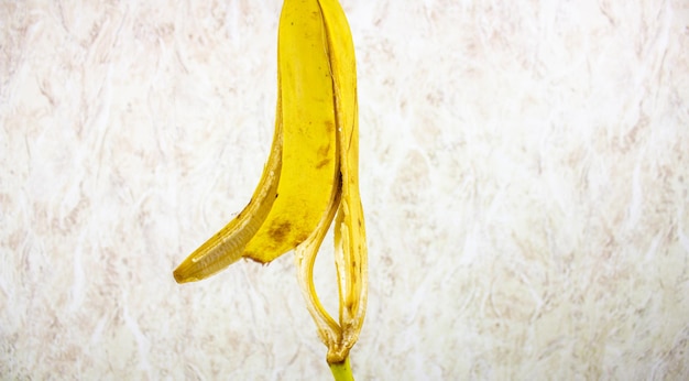 Bananenschale Die äußere Schale der Bananenfrucht