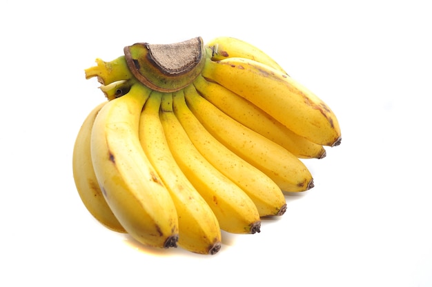 Bananenstaude