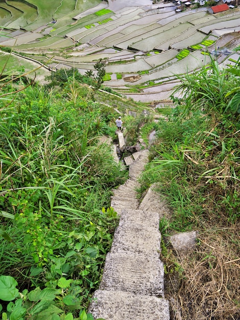 Banaue, Filipinas - 08 de marzo de 2012. Las terrazas de arroz en Banaue, Filipinas