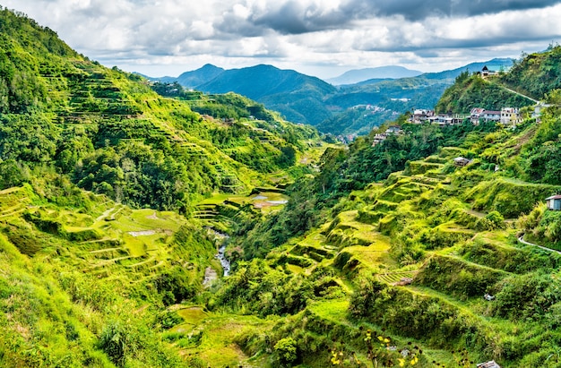 Banaue Reisterrassen - nördliches Luzon, in Philippinen.