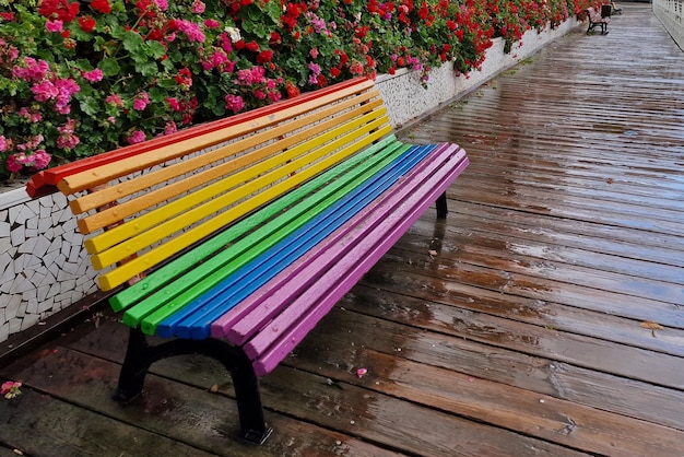 Banco de la bandera del arco iris después de la lluvia en Valencia