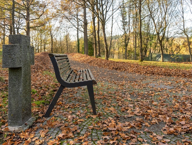 en un banco de un cementerio en otoño