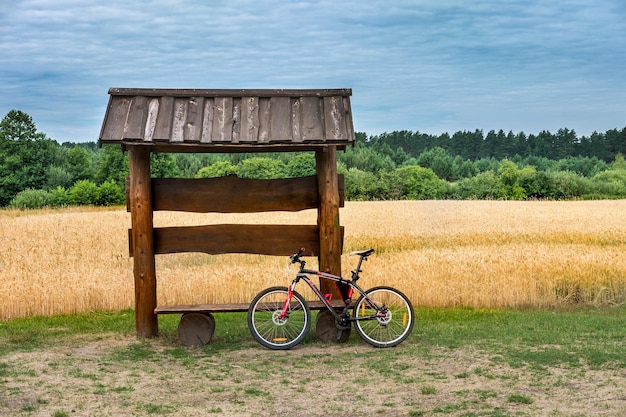 Un banco cenador de madera con bicicleta en un campo de trigo