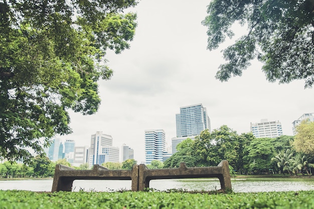 Banco cerca del árbol en parque público con paisaje urbano