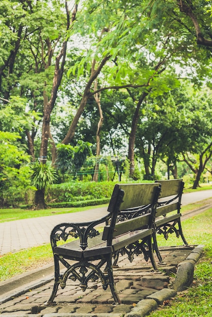 Banco cerca del árbol en parque público