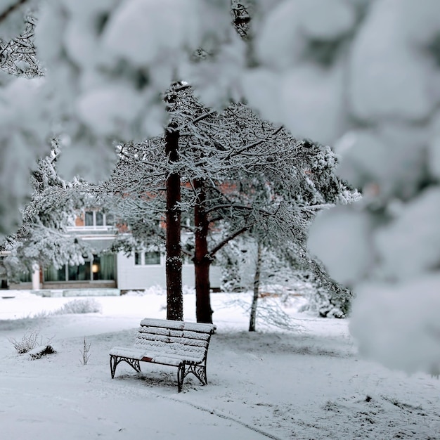 Banco cubierto de nieve contra los árboles durante el invierno