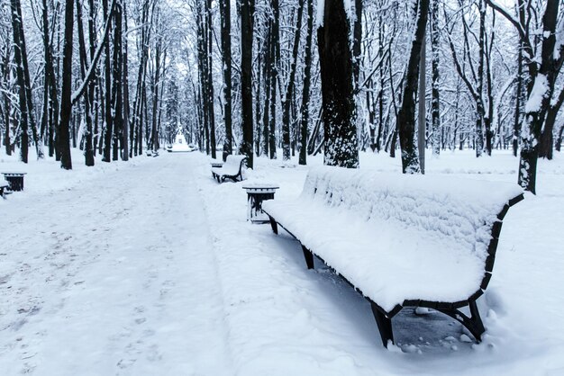 Banco cubierto de nieve en el parque de la ciudad. paisaje de invierno.