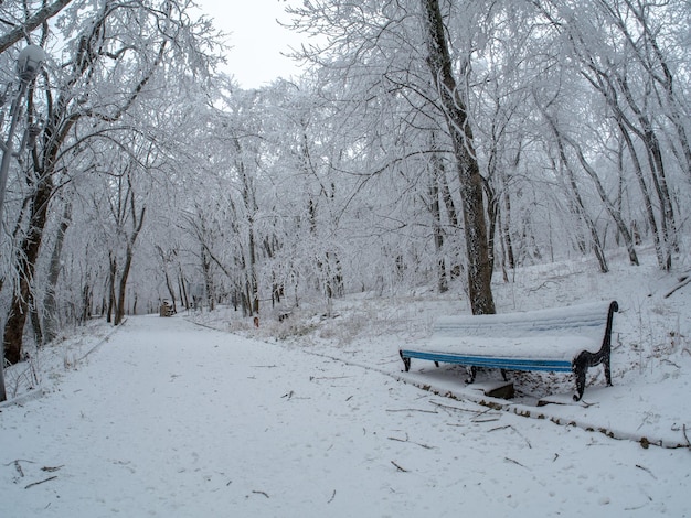 banco cubierto de nieve en un parque nevado