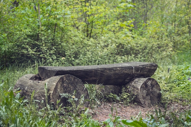 Banco de madeira antigo vintage feito de materiais naturais na parte sombreada do jardim ou parque ao ar livre Banco vazio debaixo de uma árvore no parque um bom lugar para relaxar