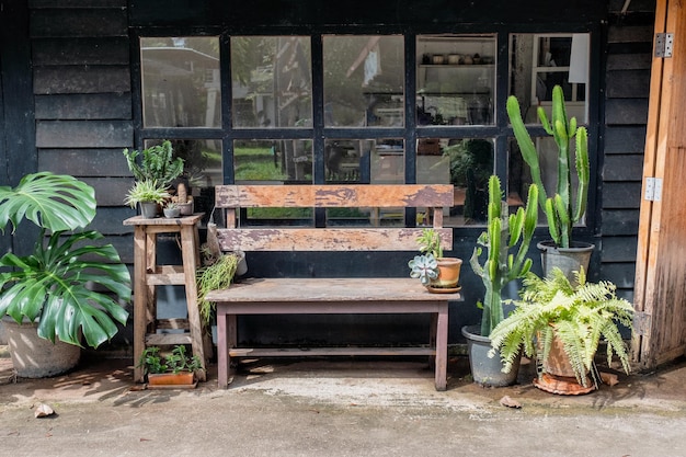 Banco de madeira com decoração de plantas verdes