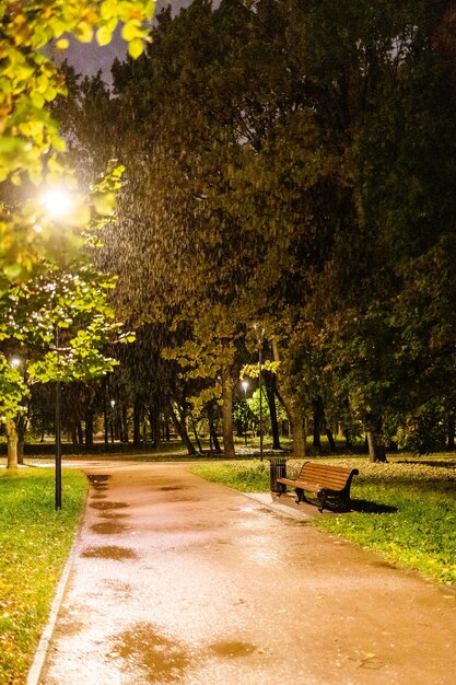 Foto banco de madeira molhada no parque da cidade em uma noite chuvosa de outono