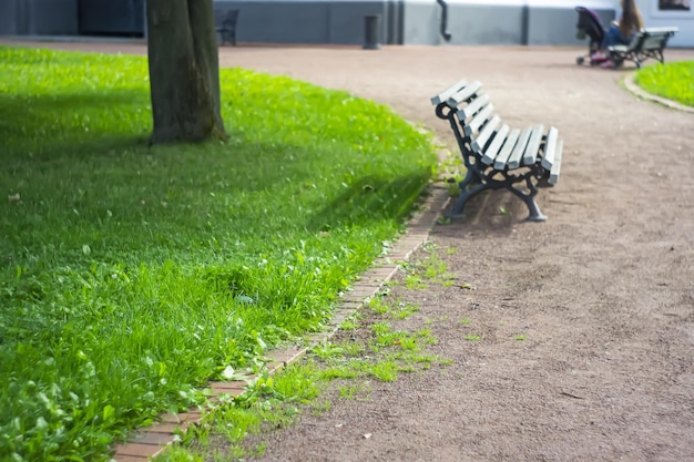 Foto banco de madeira no parque da cidade garden bench no parque com árvores