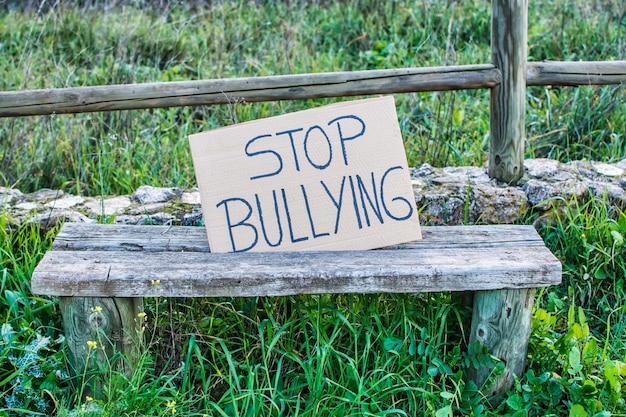 Banco de madeira solitário em um parque com uma placa de papelão que diz PARE DE BULLYING