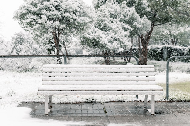 Banco de madeira vazio coberto de neve colocado em uma passarela de asfalto no parque no inverno