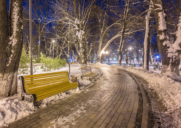 Banco de paisagem noturna de inverno sob árvores e luzes de rua brilhantes caindo flocos de neve