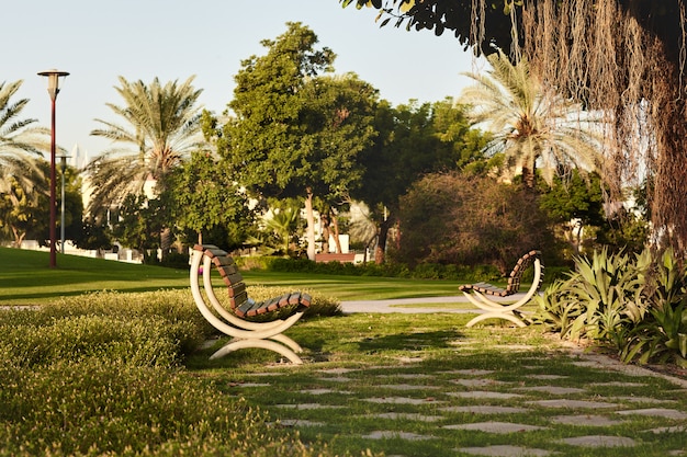 Banco en un hermoso parque de la ciudad