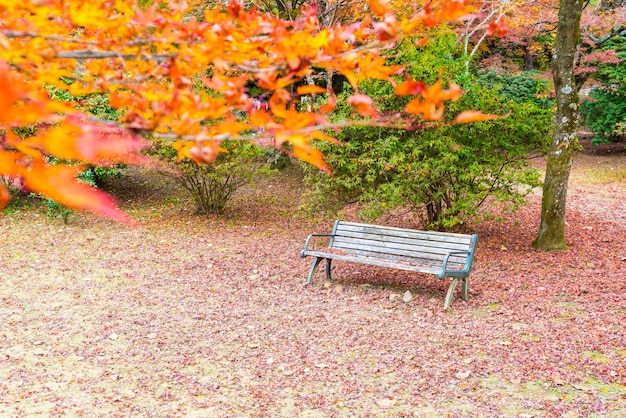 Foto banco con hojas de arce rojo que florecen en arashiyama