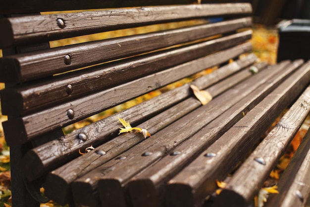 Banco con hojas de otoño caídas en el parque