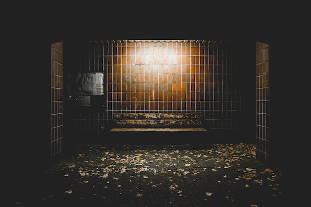 Banco iluminado por la noche