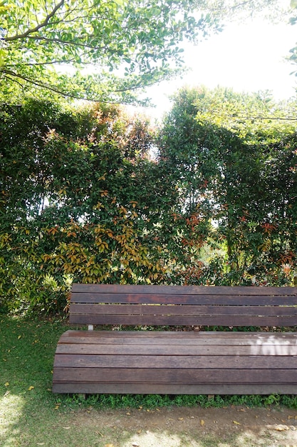 Un banco en un jardín con un seto verde detrás