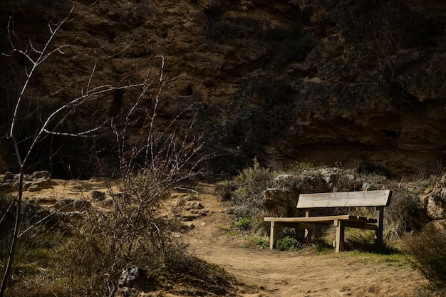 banco de madera en un bosque