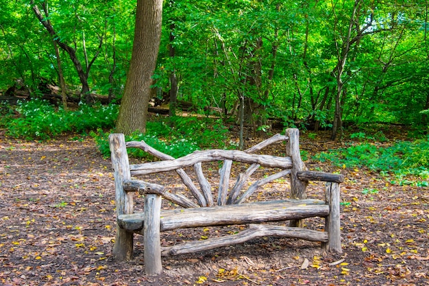 Banco de madera en Central Park, Nueva York